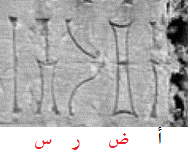 أضرس