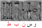 وسنبط