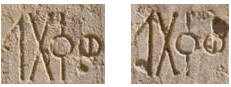 وقتل نوع